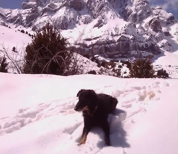 Pena O Telera Semesterbostad *